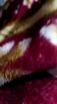 Longlund9 online show from 15, 12, 2024