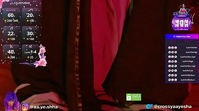 Snapshot of CrossyAayesha chatting on 25, 11, 2025 CrossyAayesha online show from 25, 11, 2025