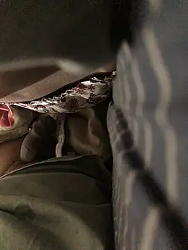 Snapshot of CoolBiDude chatting on 26, 12, 2024 CoolBiDude online show from 26, 12, 2024