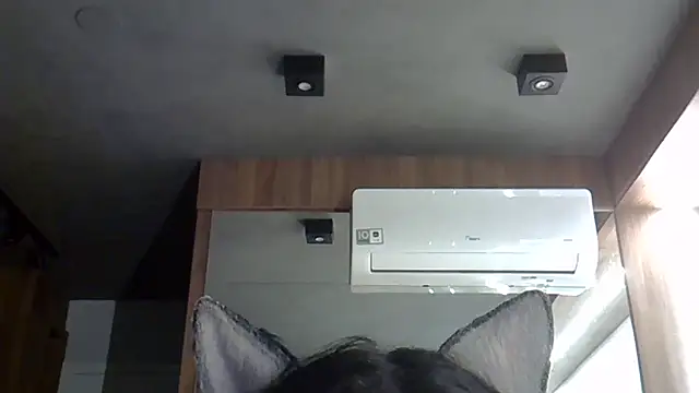 Skinny-Kitten online show from 20, 10, 2025