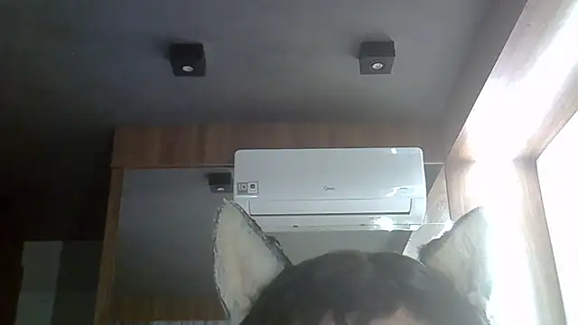 Skinny-Kitten online show from 20, 2, 2026