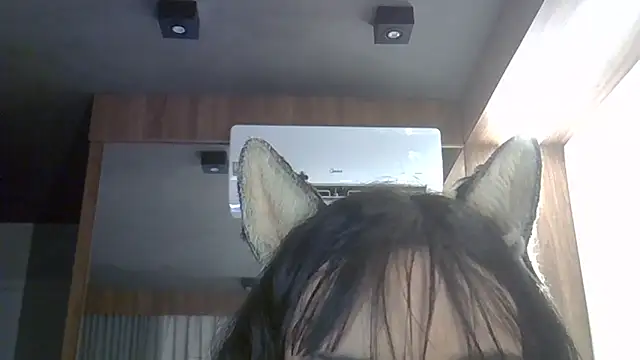 Skinny-Kitten online show from 28, 2, 2026