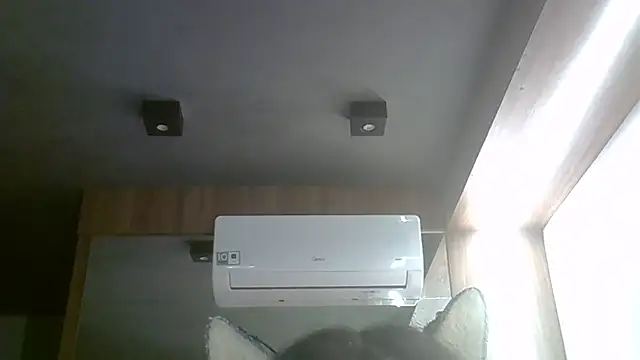 Skinny-Kitten online show from 3, 4, 2026