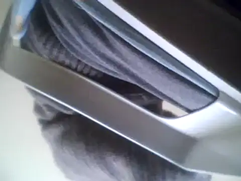 Snapshot of bestofyalcinturkey chatting on 3, 3, 2025 bestofyalcinturkey online show from 3, 3, 2025