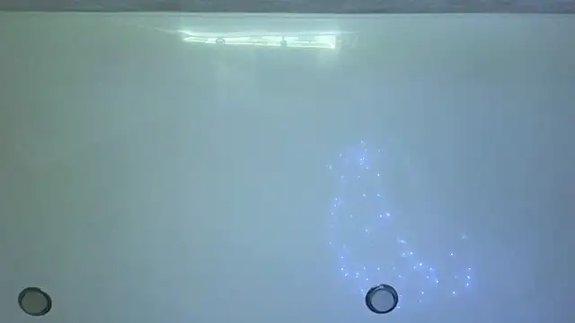 lily  foster online show from 8, 11, 2025