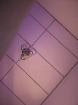 Snapshot of Charly_ chatting on 18, 12, 2025 Charly online show from 18, 12, 2025