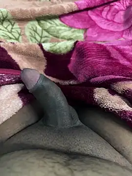 Honeydick7 online show from 4, 11, 2025