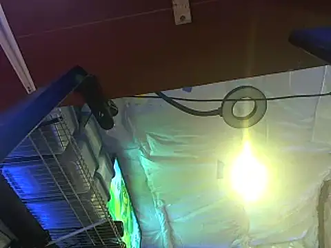 Snapshot of CloudDadddyyy420 chatting on 15, 10, 2025 CloudDadddyyy420 online show from 15, 10, 2025