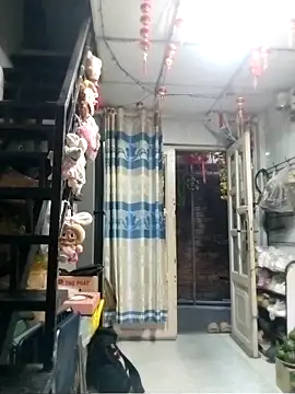 baobao26 online show from 3, 4, 2026