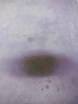 Kannadaboymanu online show from 18, 3, 2025