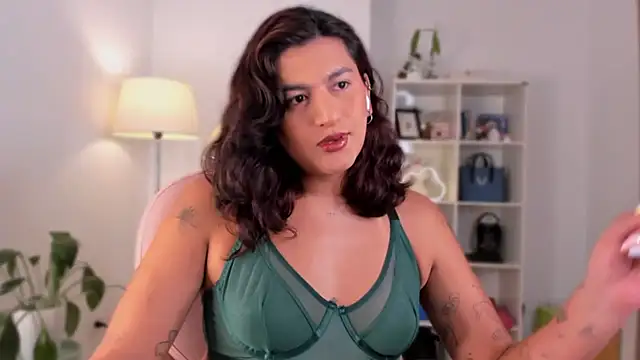 Snapshot of ari_artis chatting on 13, 2, 2025 ari artis online show from 13, 2, 2025