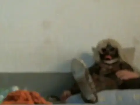 Snapshot of qwer1234 chatting on 5, 3, 2026 qwer1234 online show from 5, 3, 2026