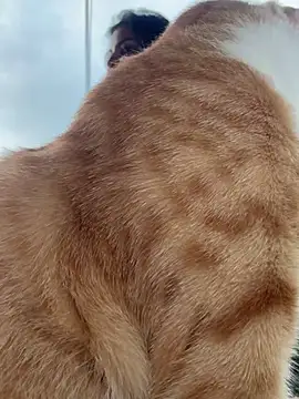 GigiiStone online show from 16, 3, 2025