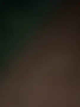 Terrafirma online show from 16, 2, 2025