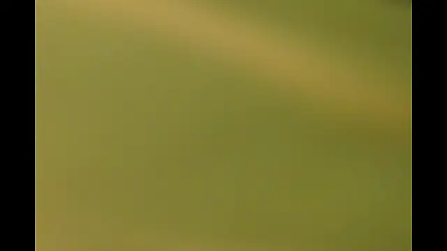 Snapshot of -AyeshaSinghania- chatting on 26, 3, 2026 -AyeshaSinghania- online show from 26, 3, 2026