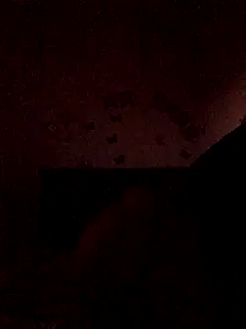 The wickles 4443 online show from 22, 11, 2025