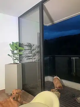 Helenbronwx online show from 22, 12, 2024