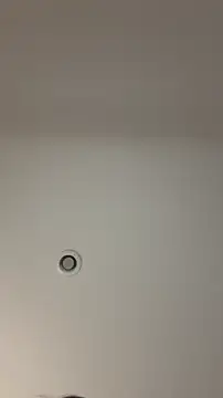 Snapshot of MichelleFerry_ chatting on 21, 12, 2025 MichelleFerry online show from 21, 12, 2025