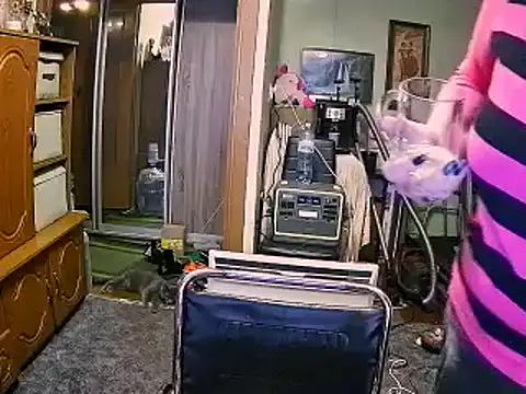 LOLA8888 online show from 4, 12, 2025