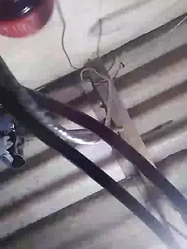 davidatration15 online show from 5, 3, 2025