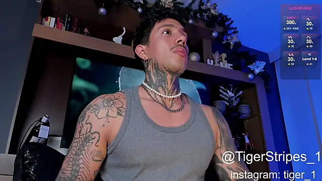 TigerStripes1  online show from 4, 1, 2025