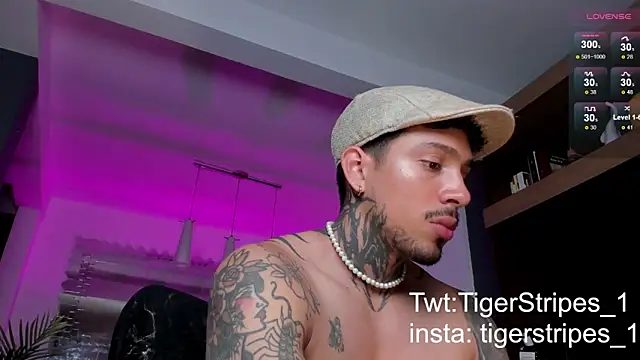 TigerStripes1  online show from 9, 2, 2025