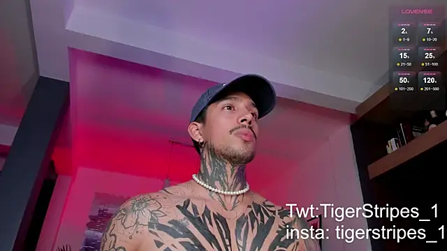 TigerStripes1  online show from 3, 3, 2025