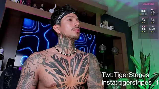 TigerStripes1  online show from 9, 3, 2025