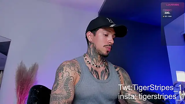 TigerStripes1  online show from 19, 3, 2025