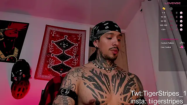 Snapshot of TigerStripes1_ chatting on 19, 3, 2026 TigerStripes1 online show from 19, 3, 2026