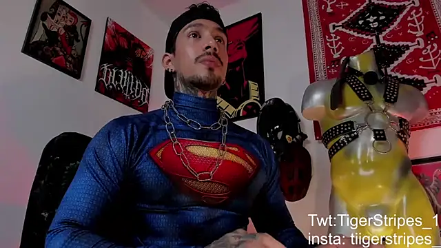 Snapshot of TigerStripes1_ chatting on 21, 3, 2026 TigerStripes1 online show from 21, 3, 2026