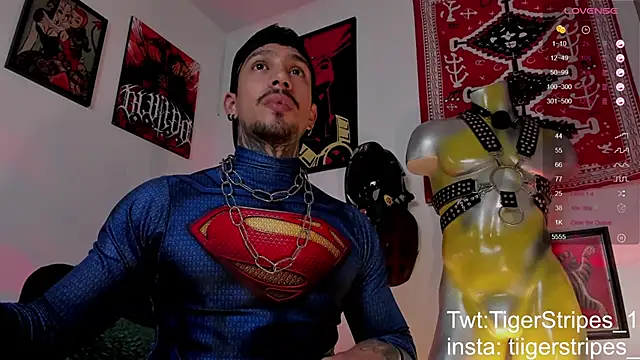 Snapshot of TigerStripes1_ chatting on 21, 3, 2026 TigerStripes1 online show from 21, 3, 2026