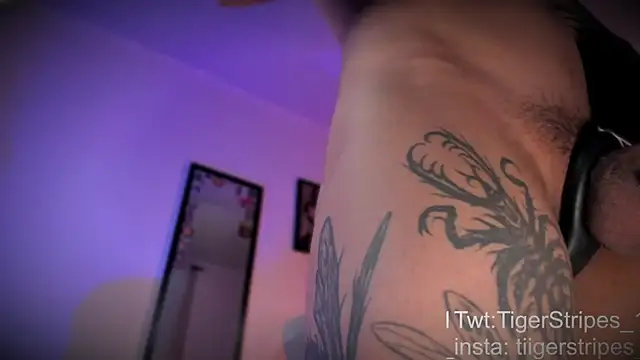 Snapshot of TigerStripes1_ chatting on 10, 4, 2026 TigerStripes1 online show from 10, 4, 2026