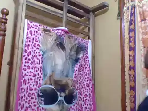 Snapshot of sweetbabra1 chatting on 11, 2, 2025 sweetbabra1 online show from 11, 2, 2025