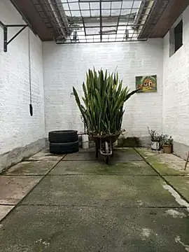 oliver price1 online show from 12, 11, 2025