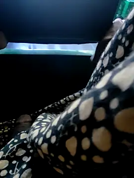 Kolkata   Boy online show from 7, 12, 2024